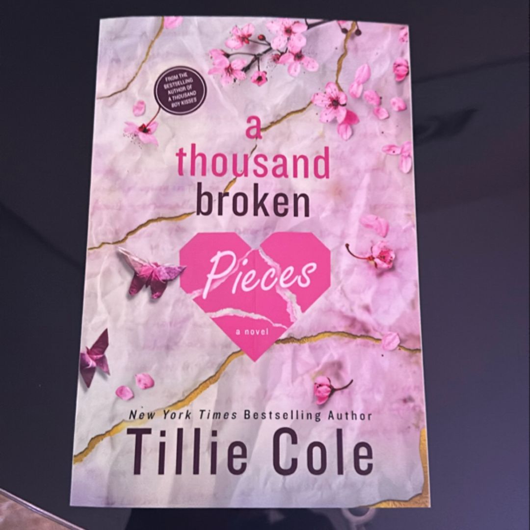 A Thousand Broken Pieces