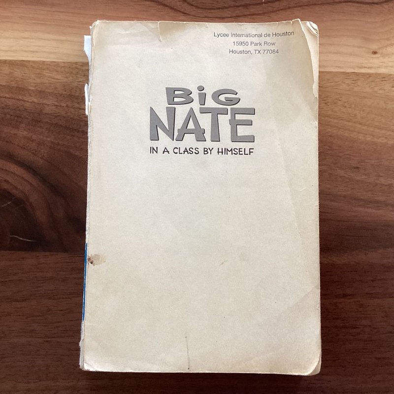 Big Nate: in a Class by Himself