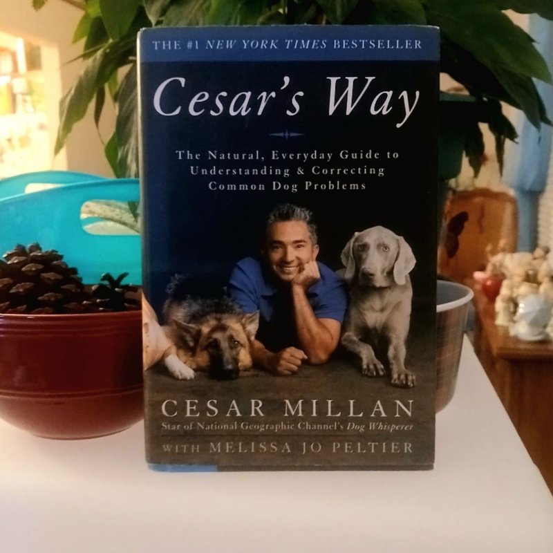 Cesar's Way
