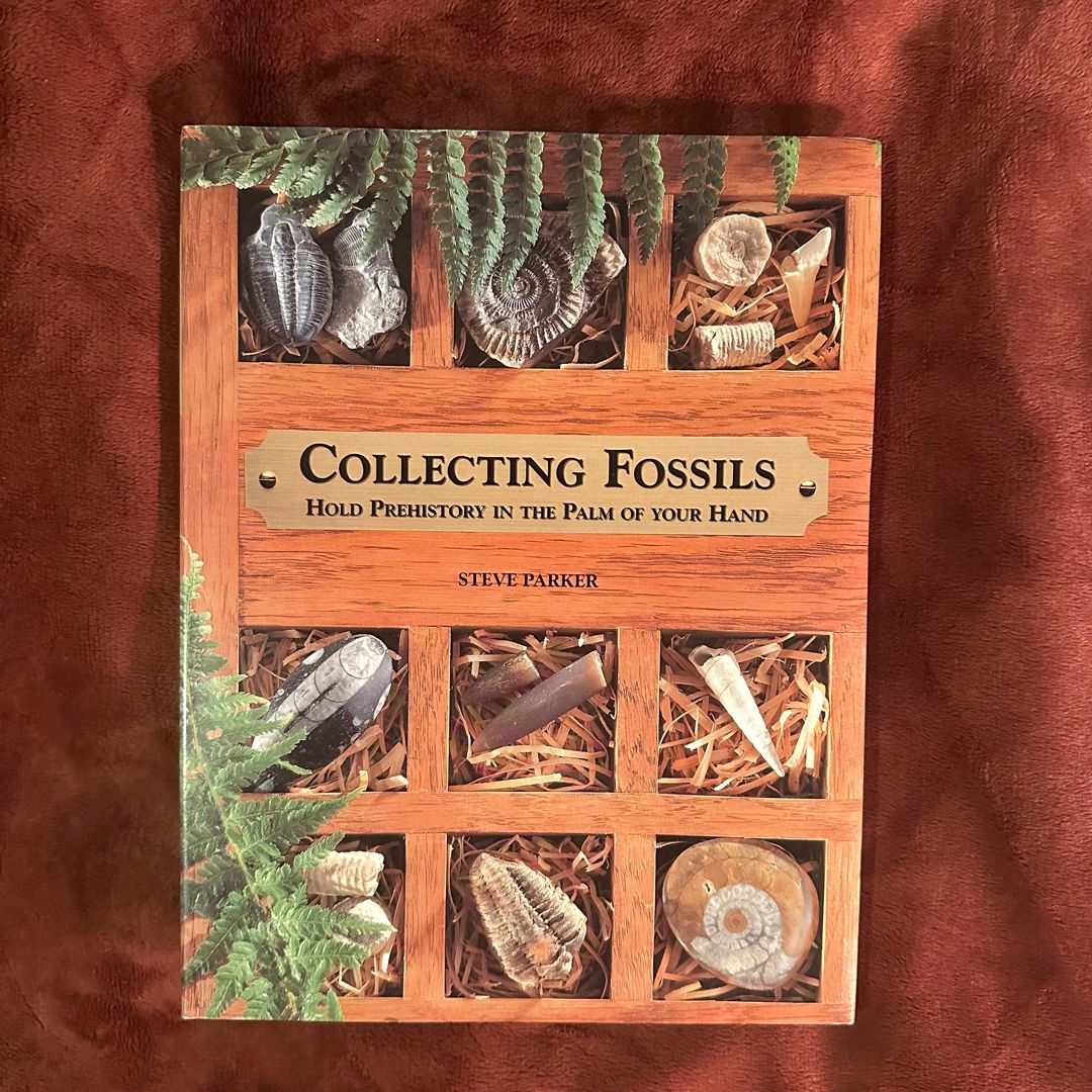 Collecting Fossils