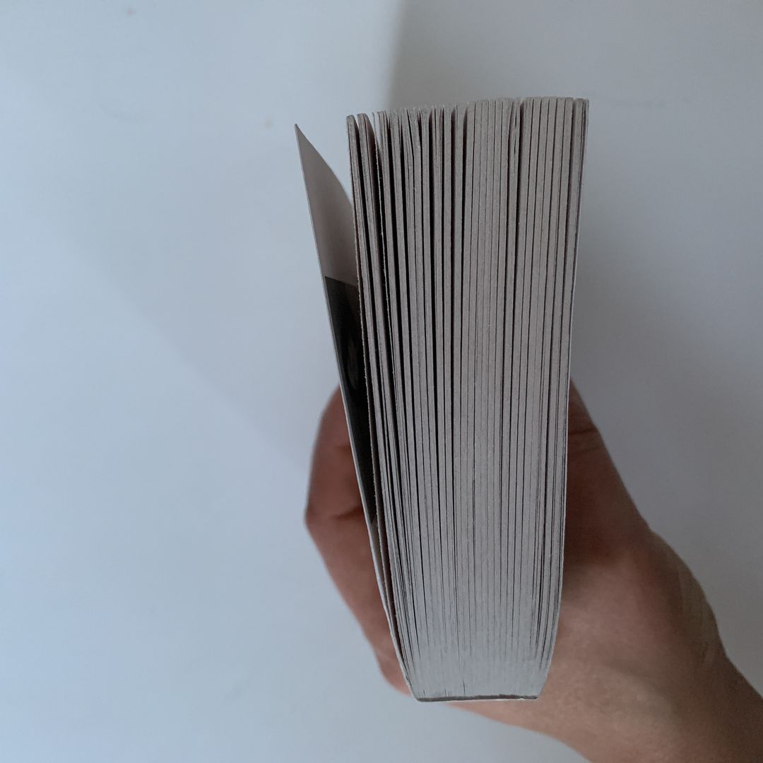 How to Tame a Wild Rogue