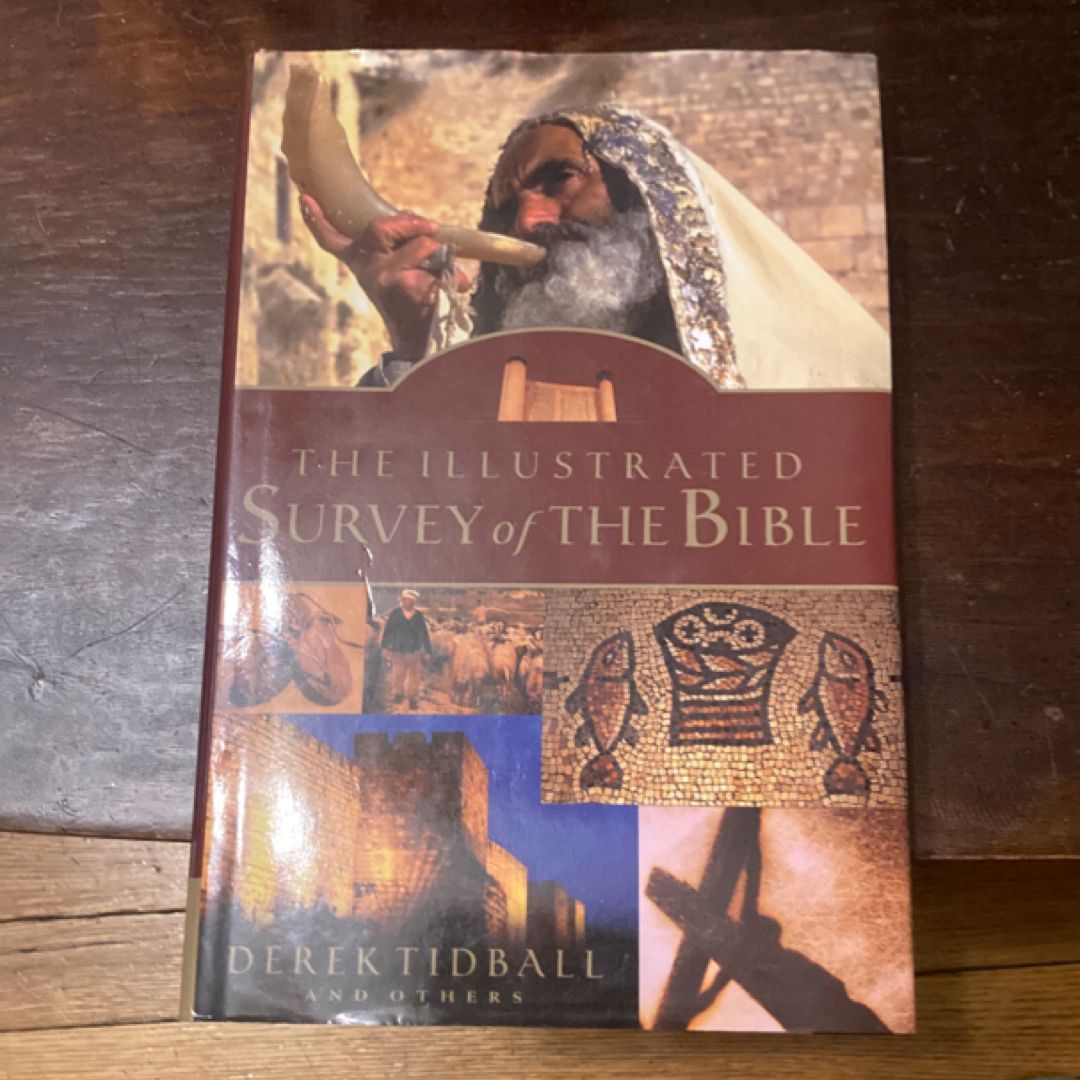 The Illustrated Survey of the Bible