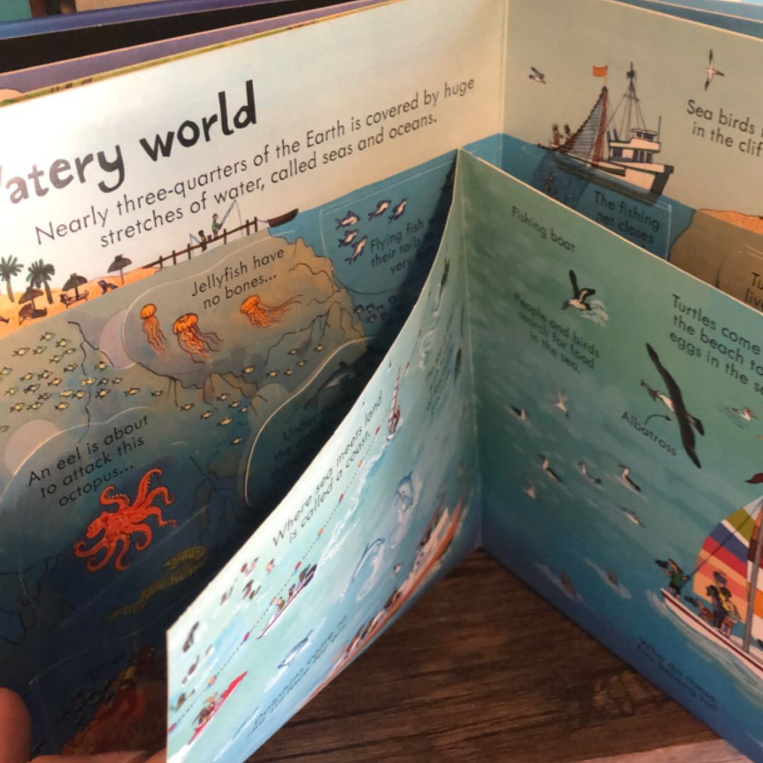 Look Inside Our World Board Book