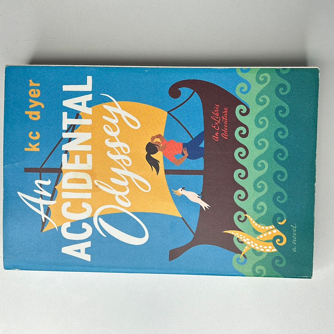 An Accidental Odyssey