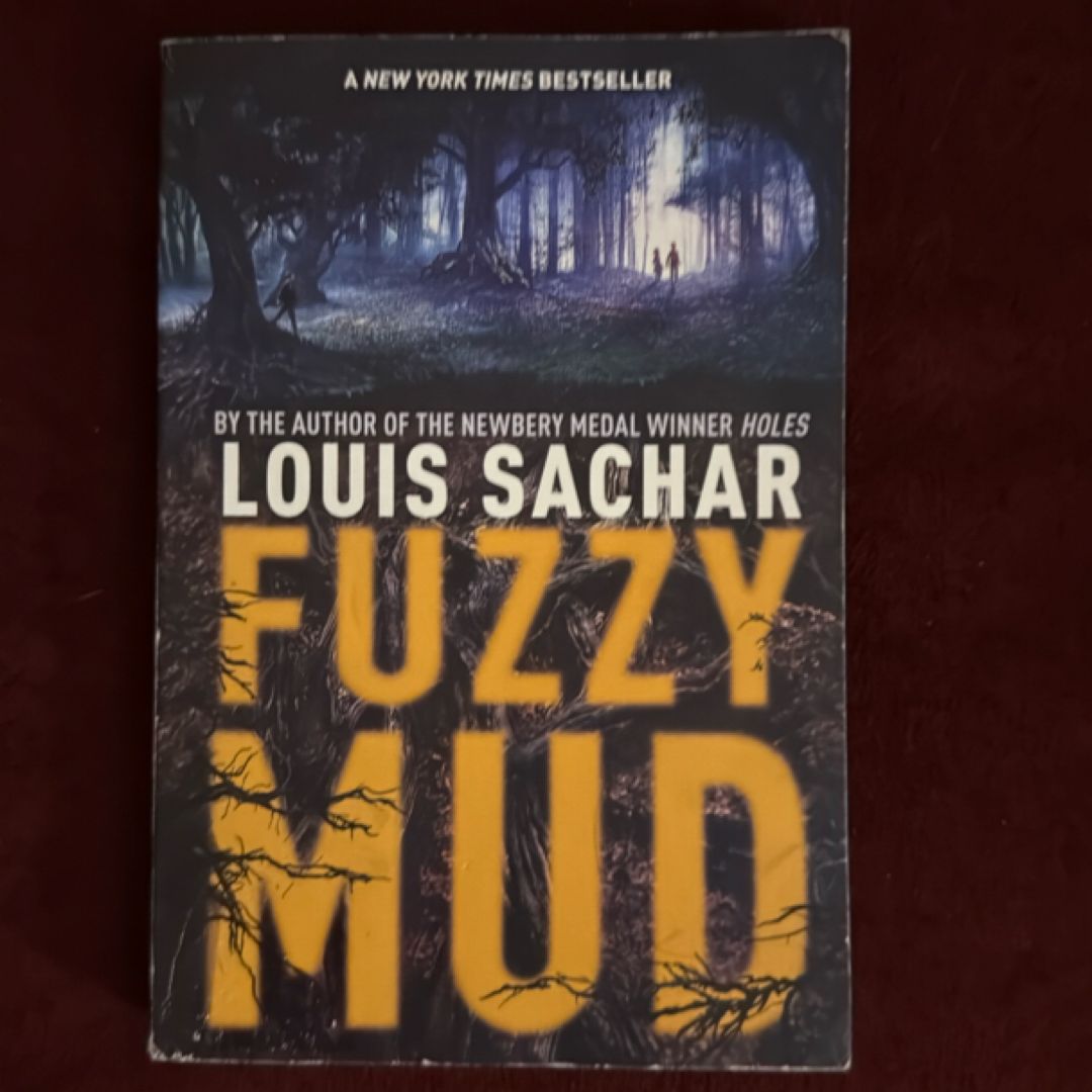 Fuzzy Mud