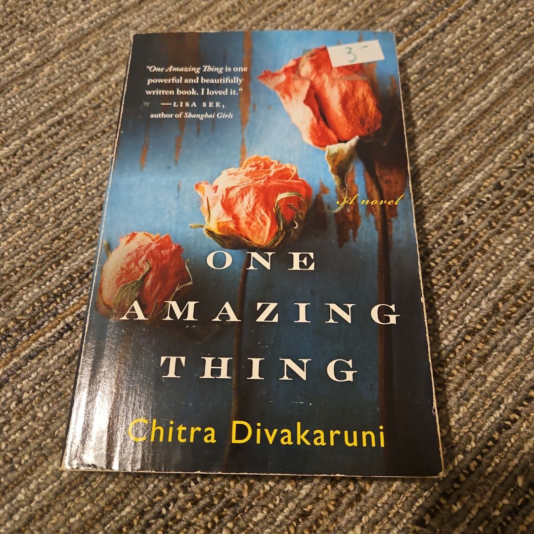One Amazing Thing
