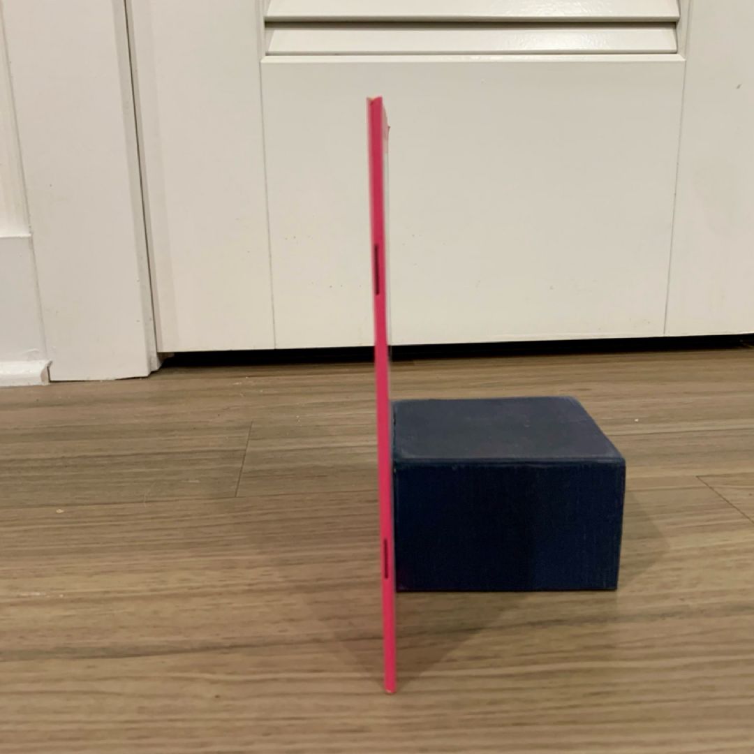 Flip the Dolphin Saves the Day