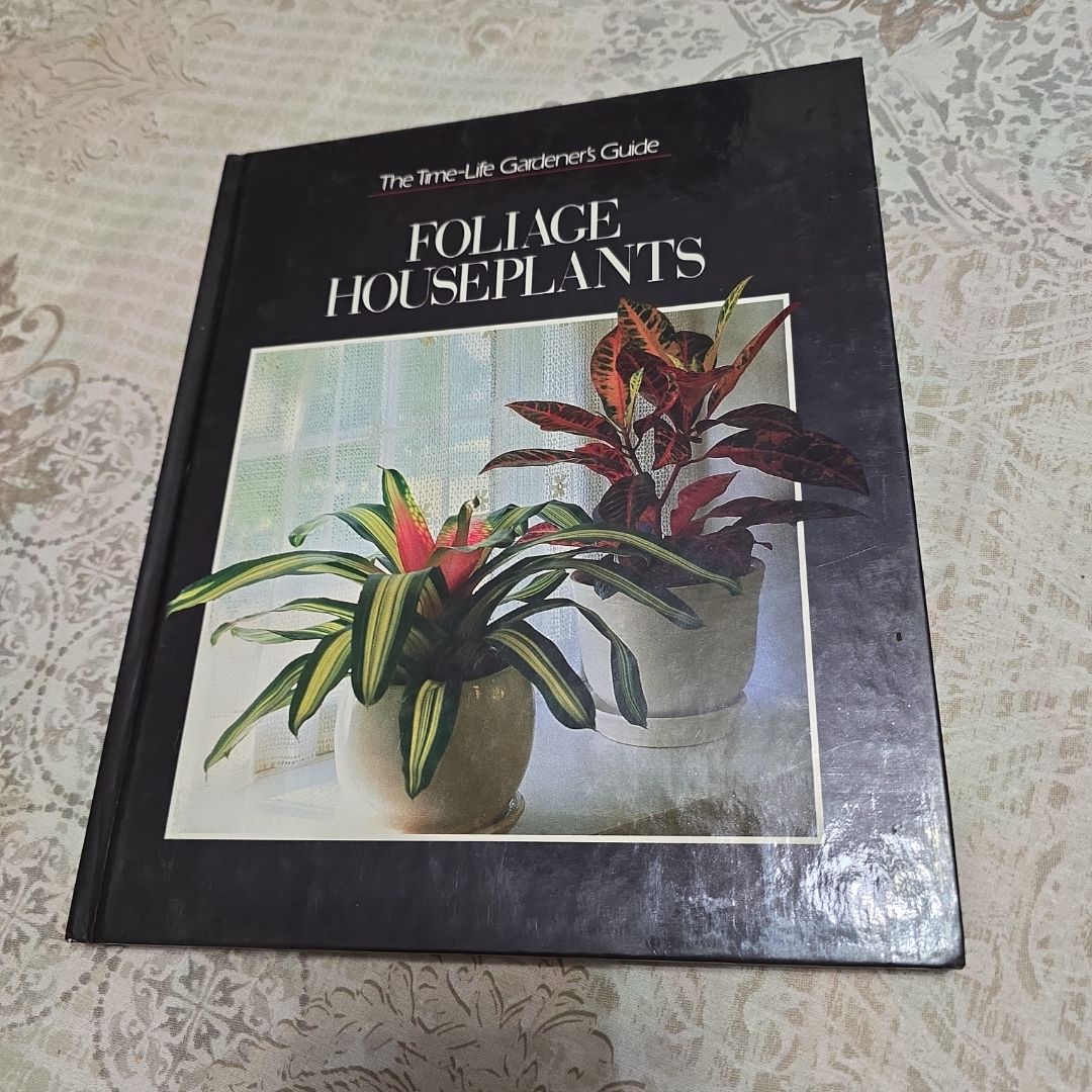 Foliage Houseplants