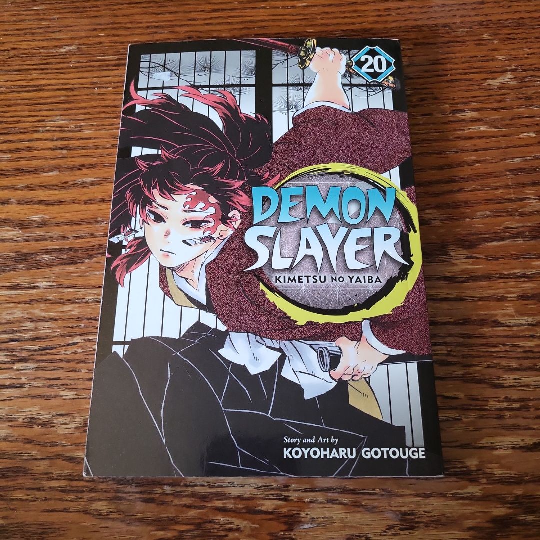 Demon Slayer: Kimetsu No Yaiba, Vol. 20