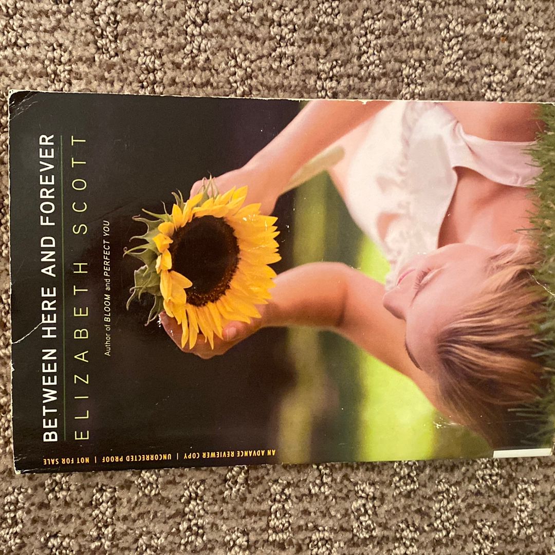 Between Here and Forever