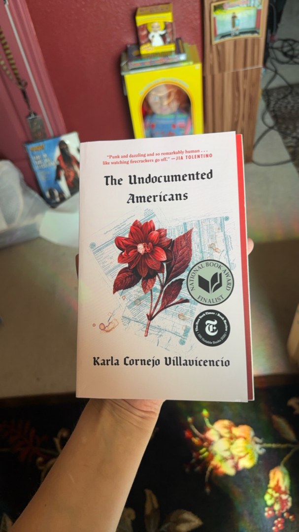 The Undocumented Americans