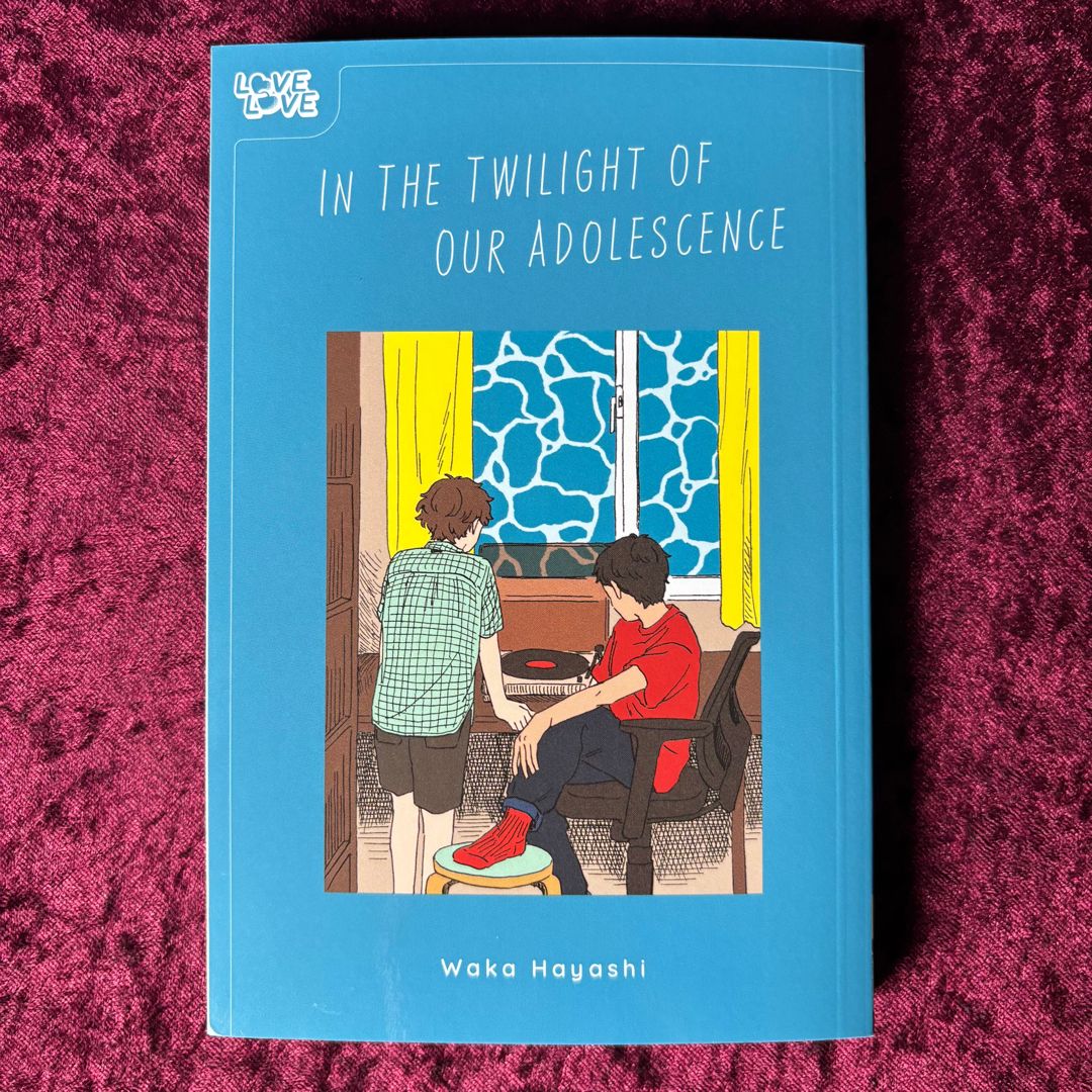 In the Twilight of Our Adolescence