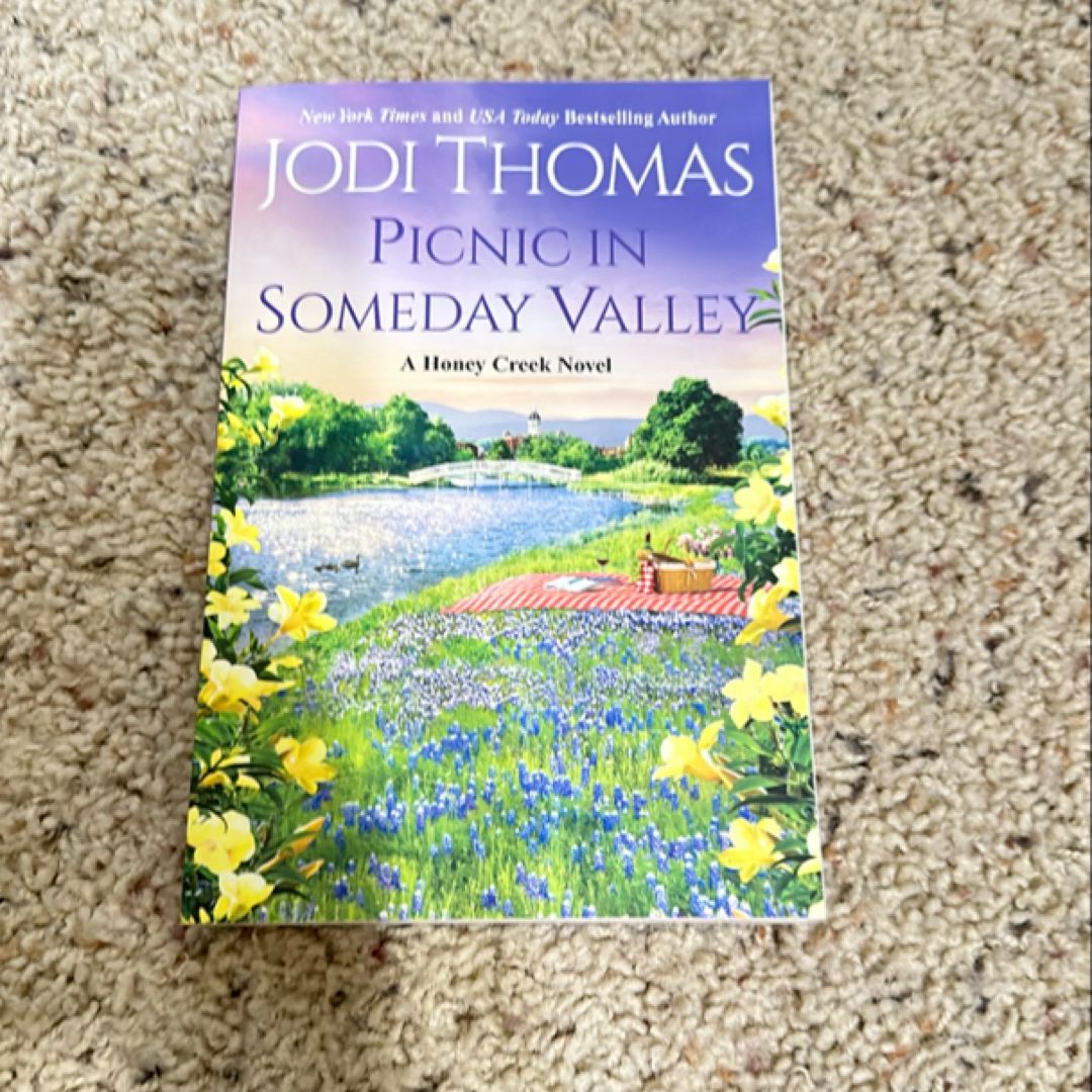 Picnic in Someday Valley