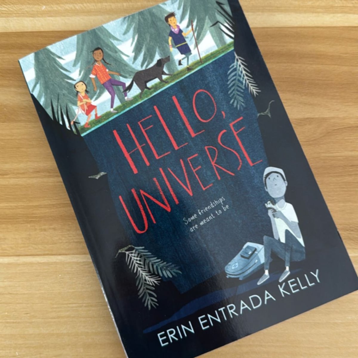 Hello, Universe by Erin Entrada Kelly