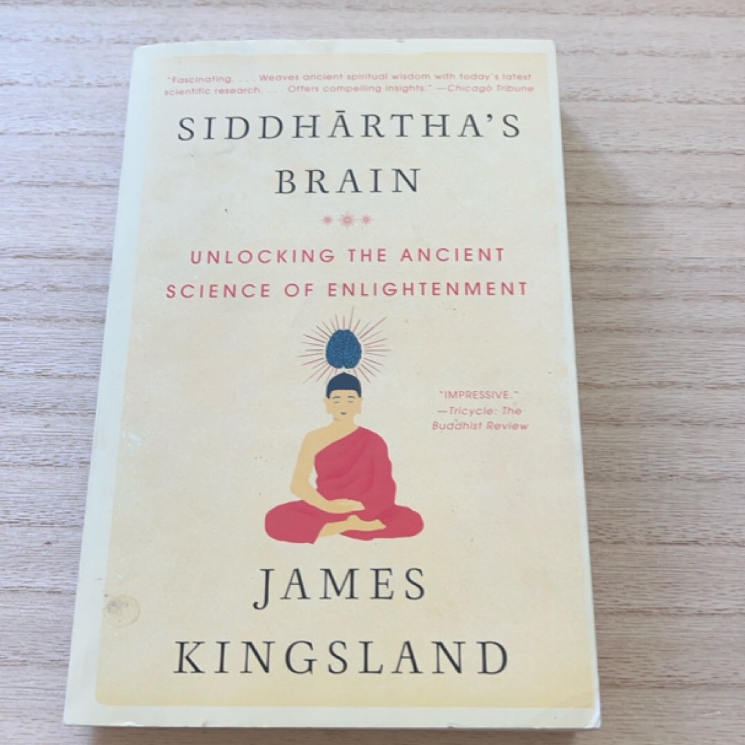 Siddhartha's Brain