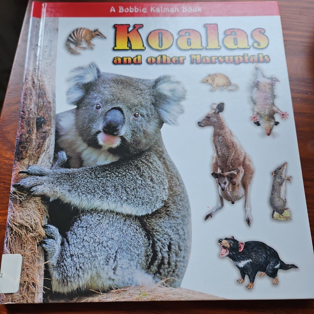 Koalas and Other Marsupials