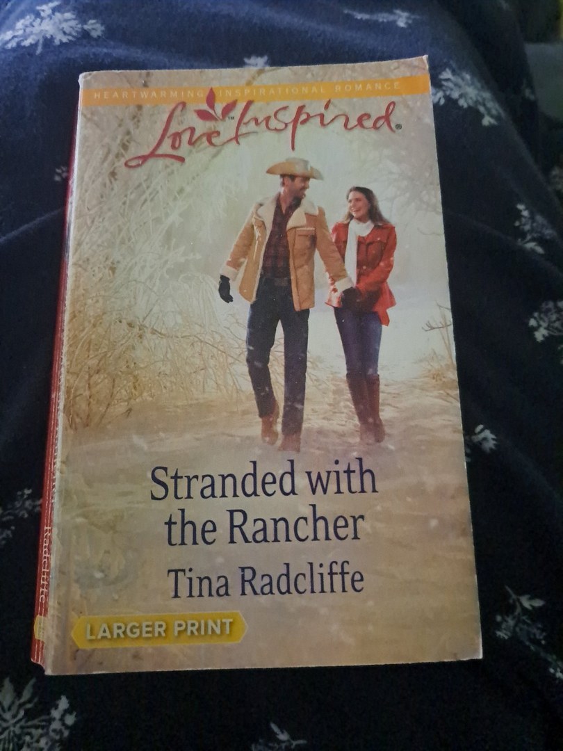 Stranded with the Rancher