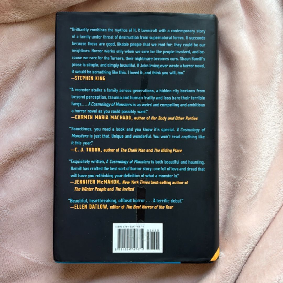 A Cosmology of Monsters