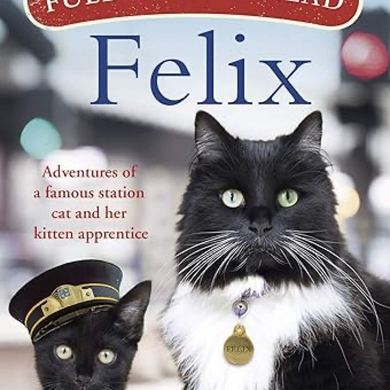 Full Steam Ahead, Felix!