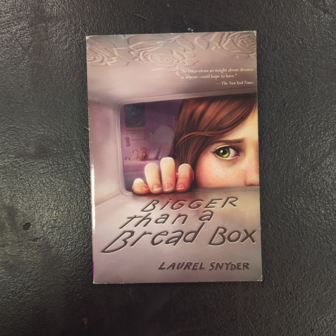 Bigger Than a Bread Box