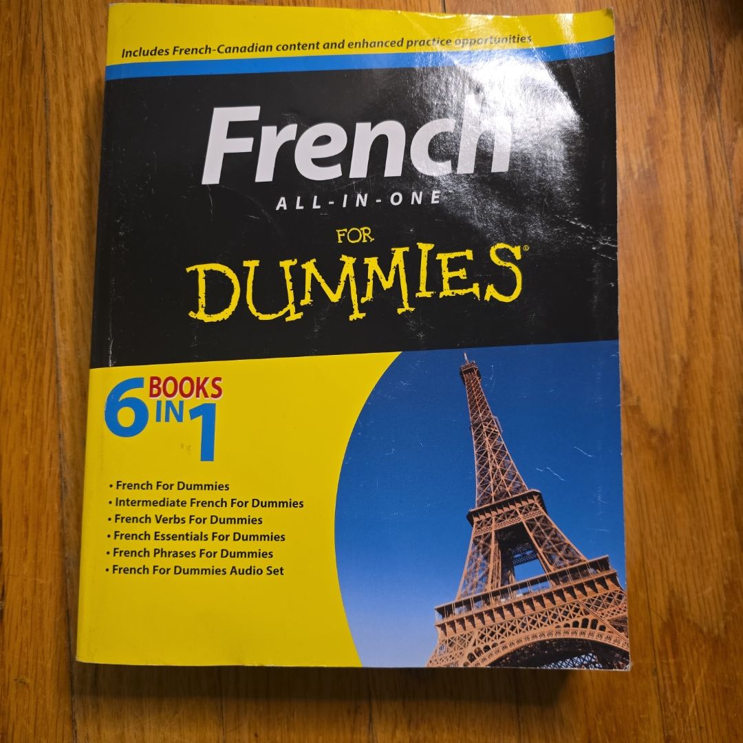 French All-In-One for Dummies
