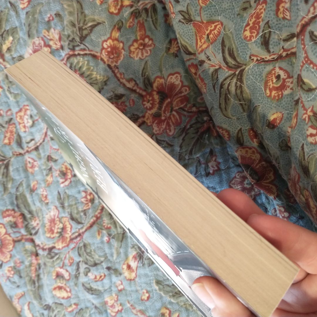 The Night Train to Berlin