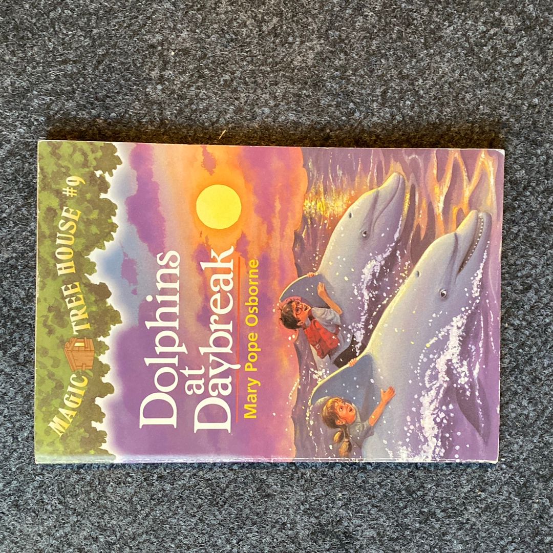 Dolphins at Daybreak