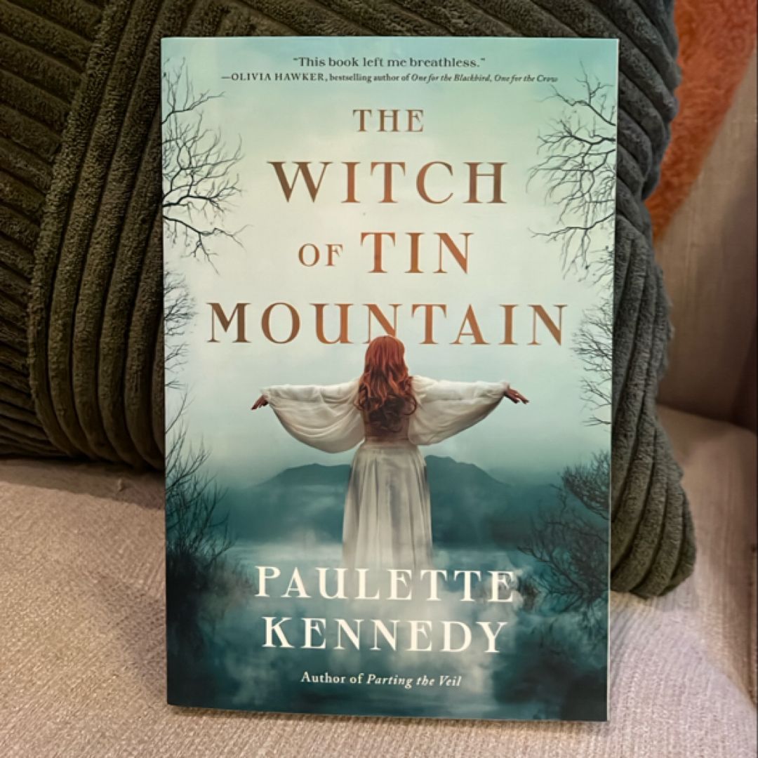 The Witch of Tin Mountain