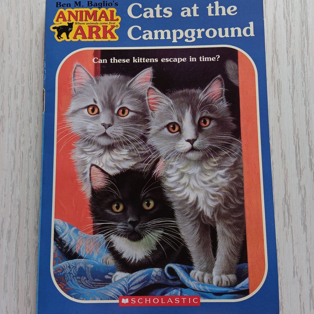Cats at the Campground