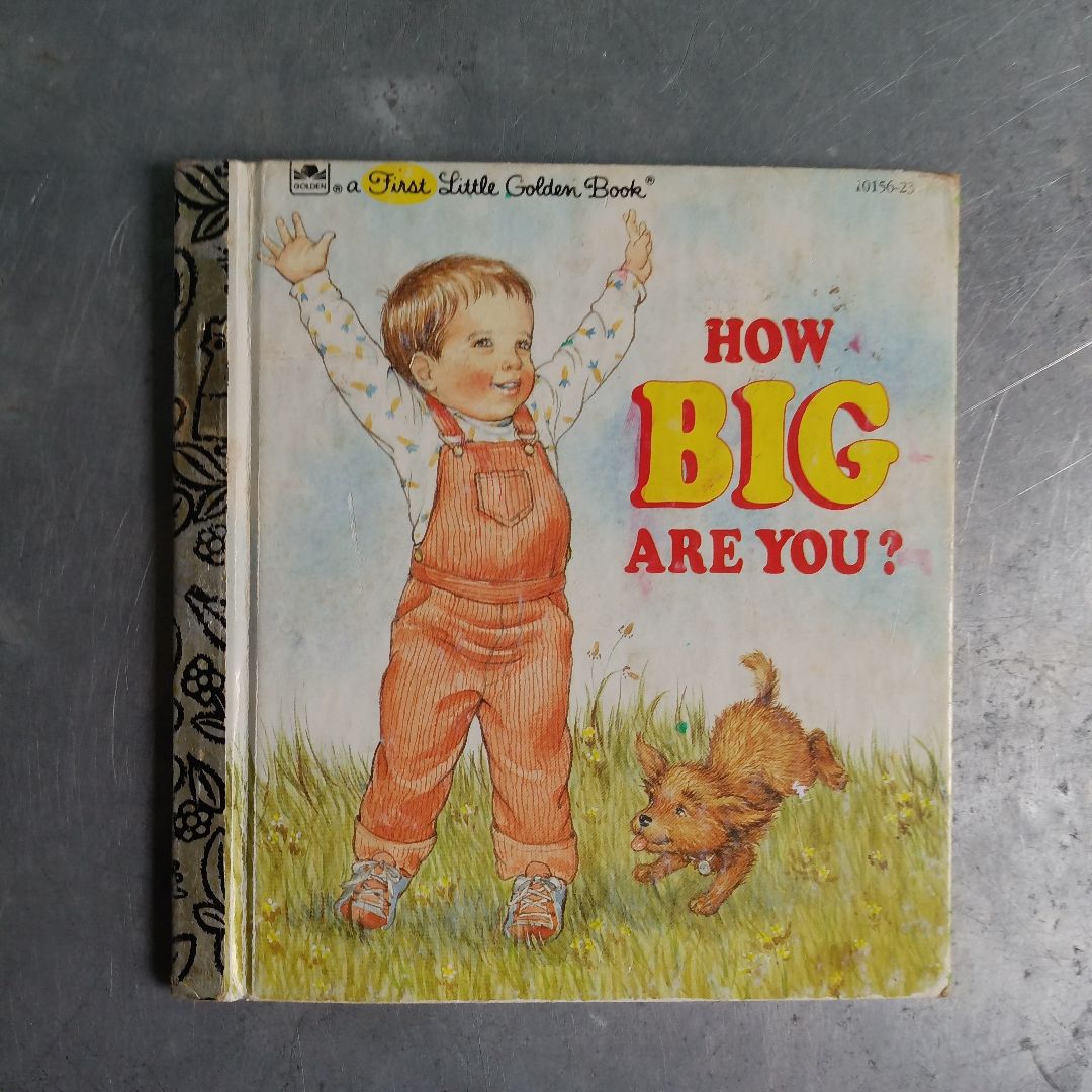 How Big Are You?