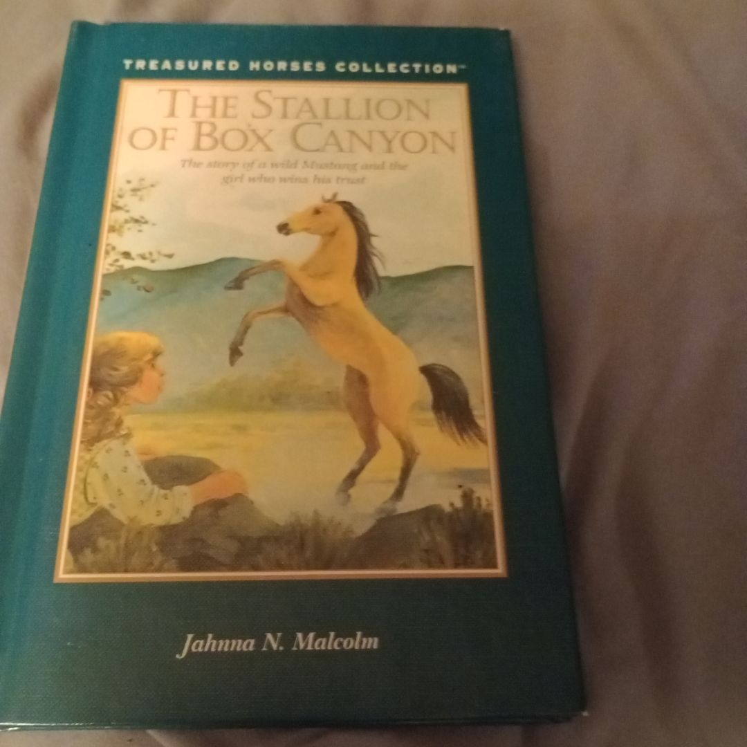 The Stallion of Box Canyon