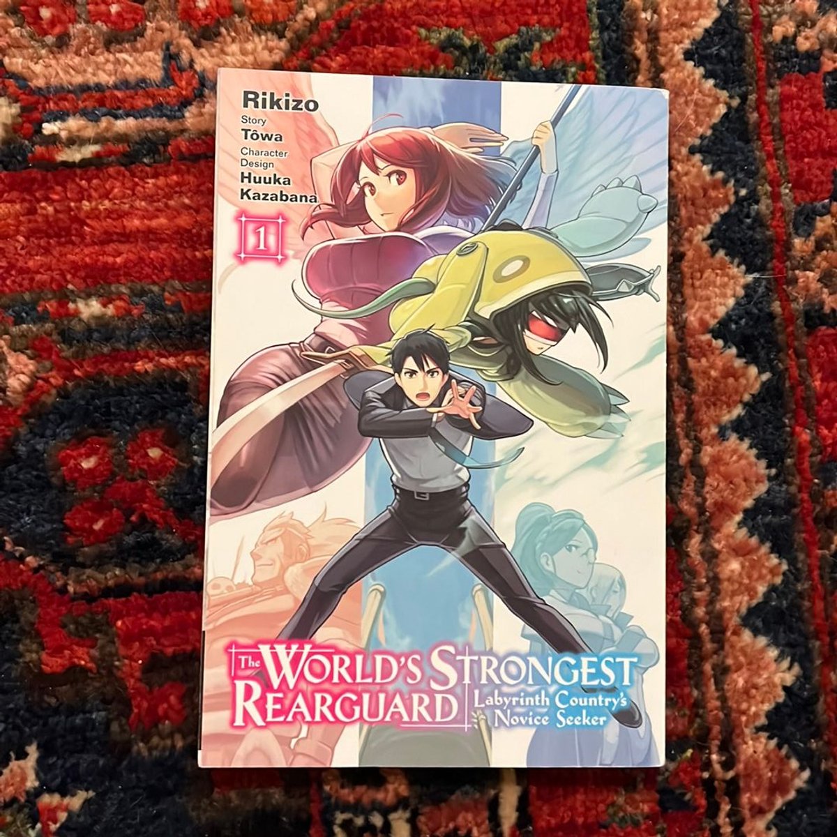 The World's Strongest Rearguard: Labyrinth Country's Novice Seeker, Vol ...