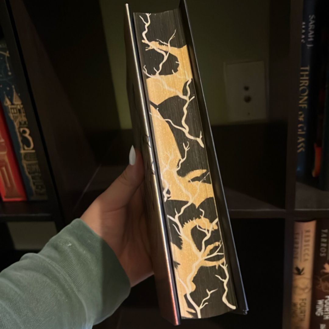 Fourth Wing (Special Edition)