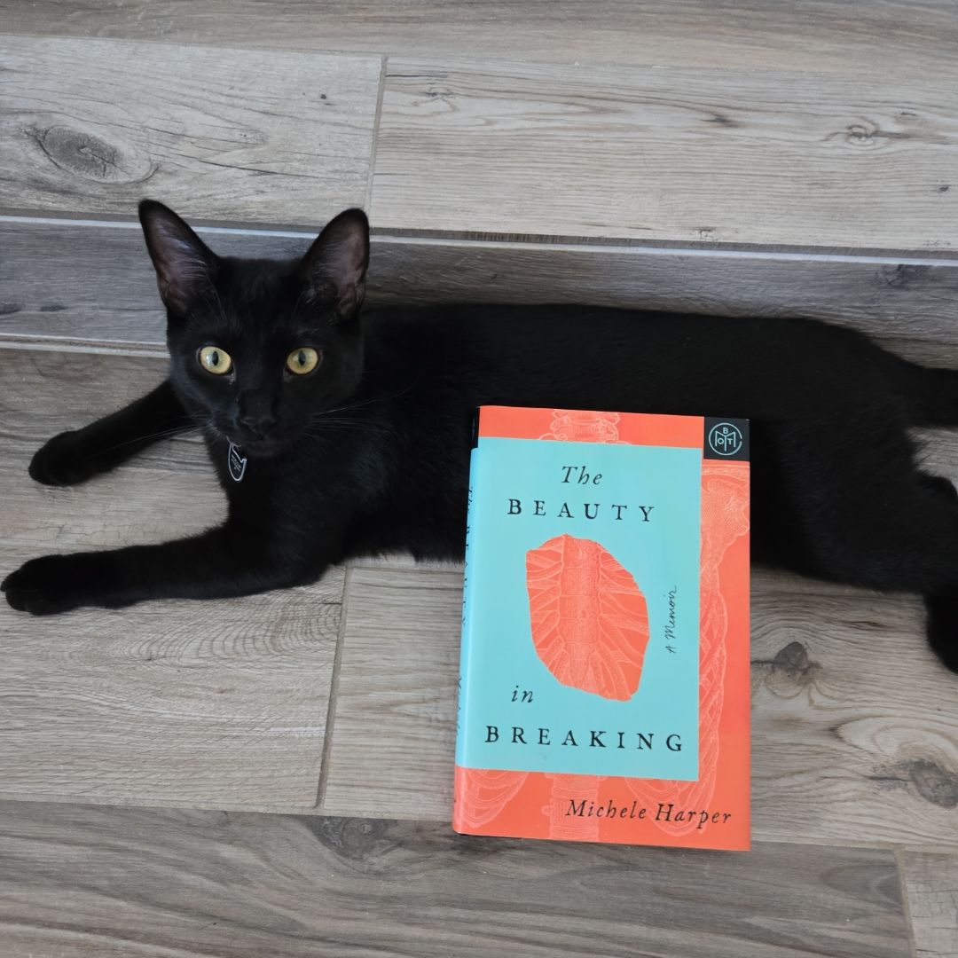 The Beauty in Breaking