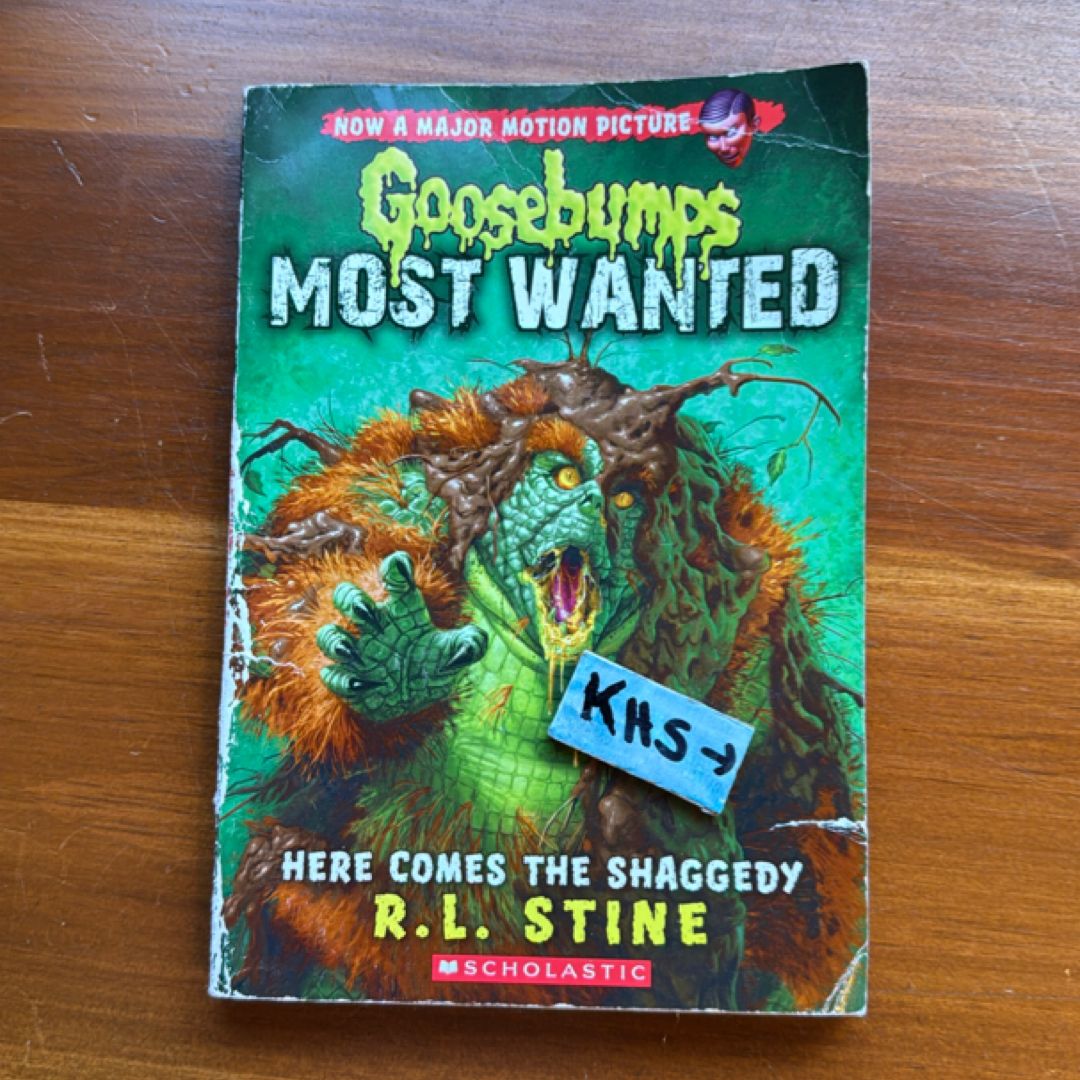 Here Comes the Shaggedy