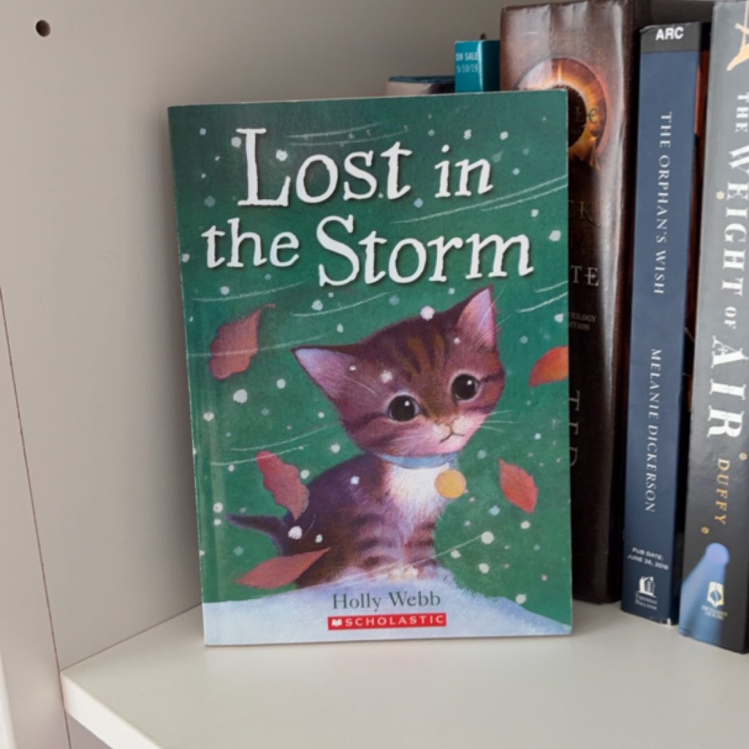 Lost in the Storm