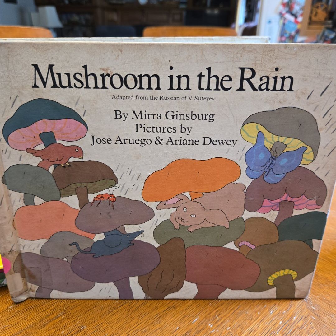 Mushroom in the Rain