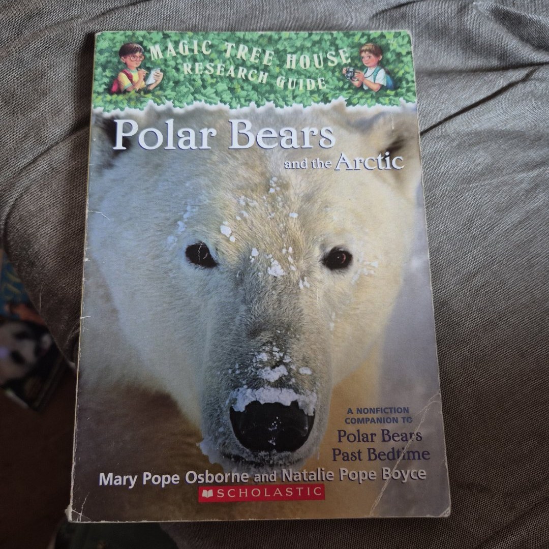 Polar Bears and the Arctic