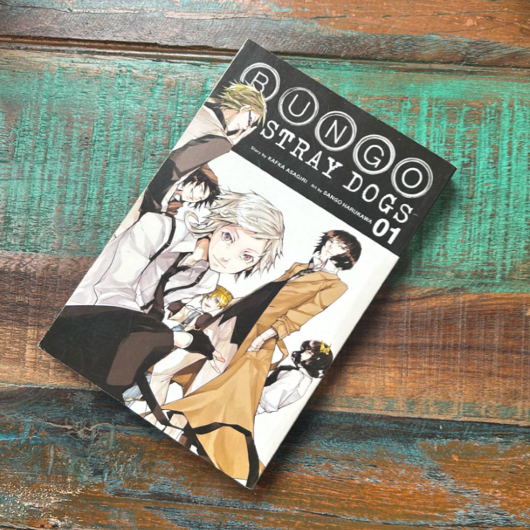 Bungo Stray Dogs, Vol. 1