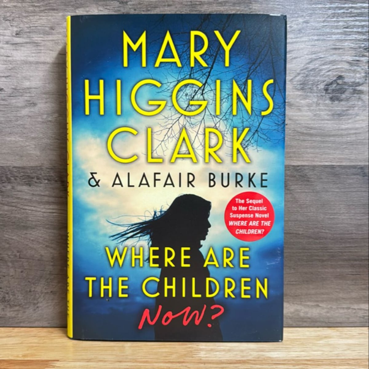 Where Are the Children Now? by Mary Higgins Clark, Alafair Burke