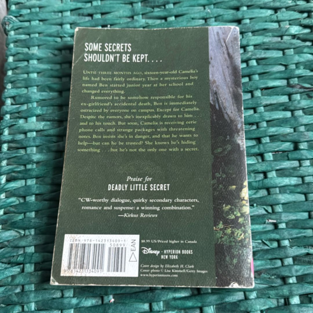 Deadly Little Secret