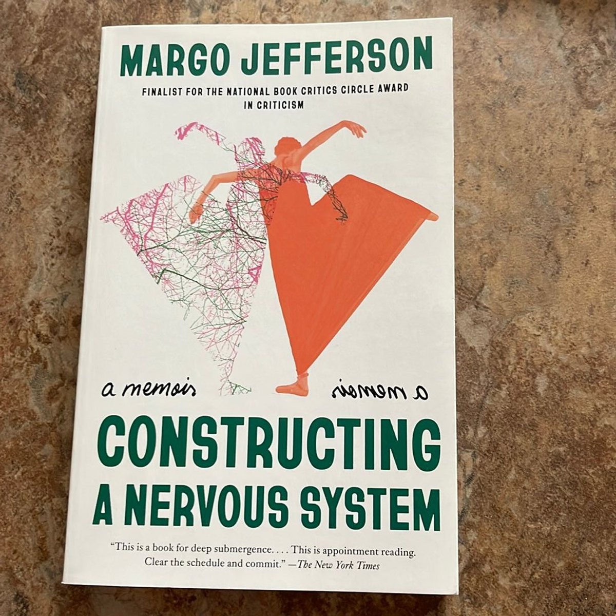 Constructing a Nervous System by Margo Jefferson