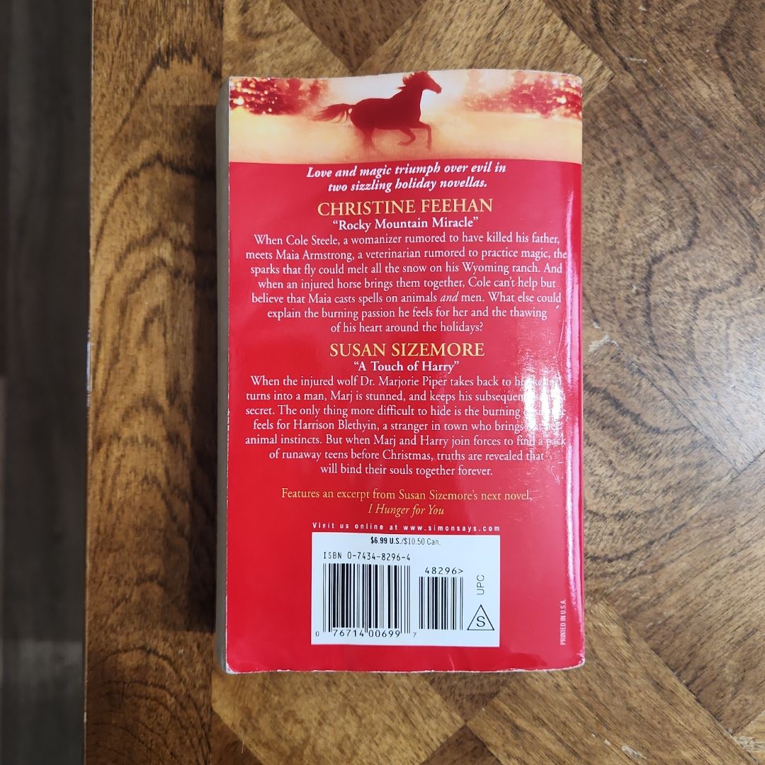The Shadows of Christmas Past