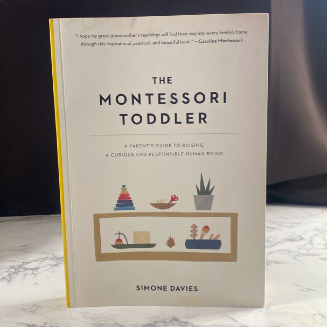 The Montessori Toddler