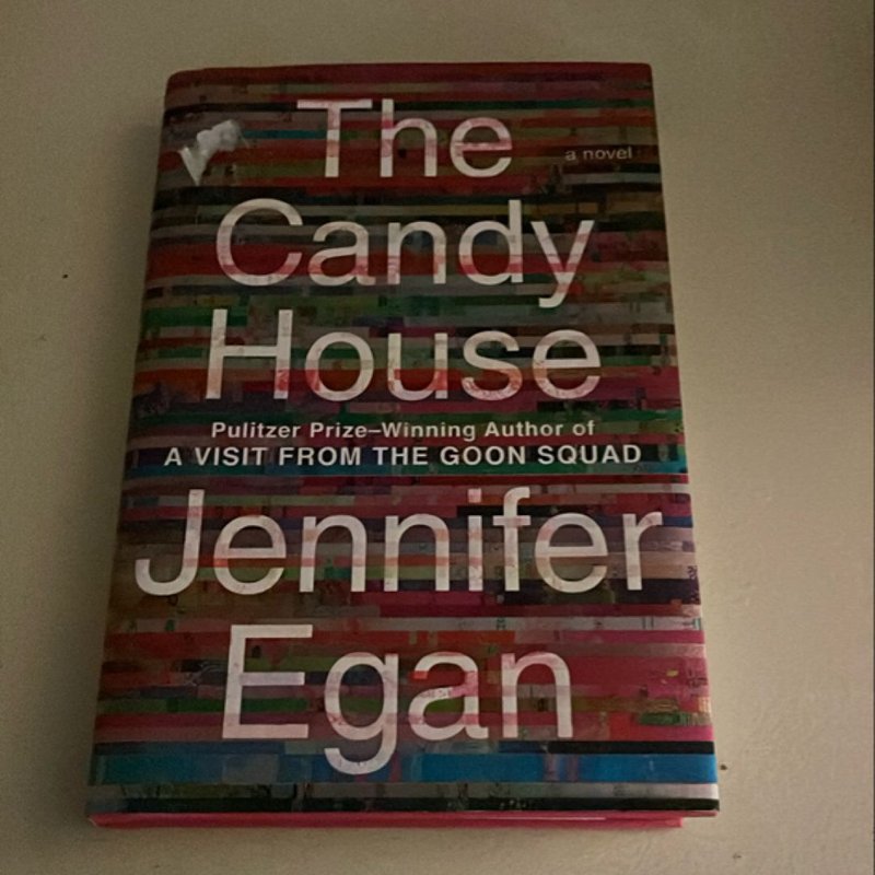 The Candy House