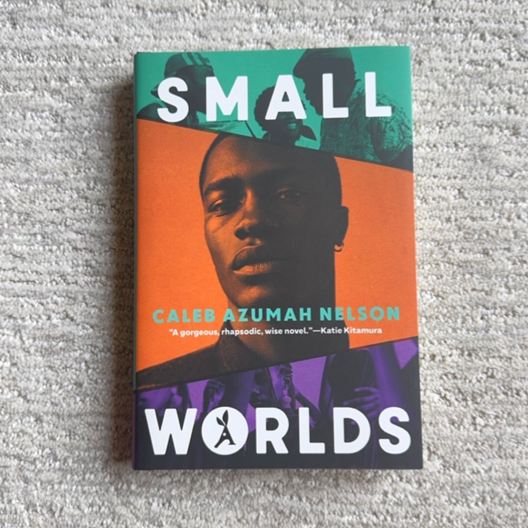 Small Worlds