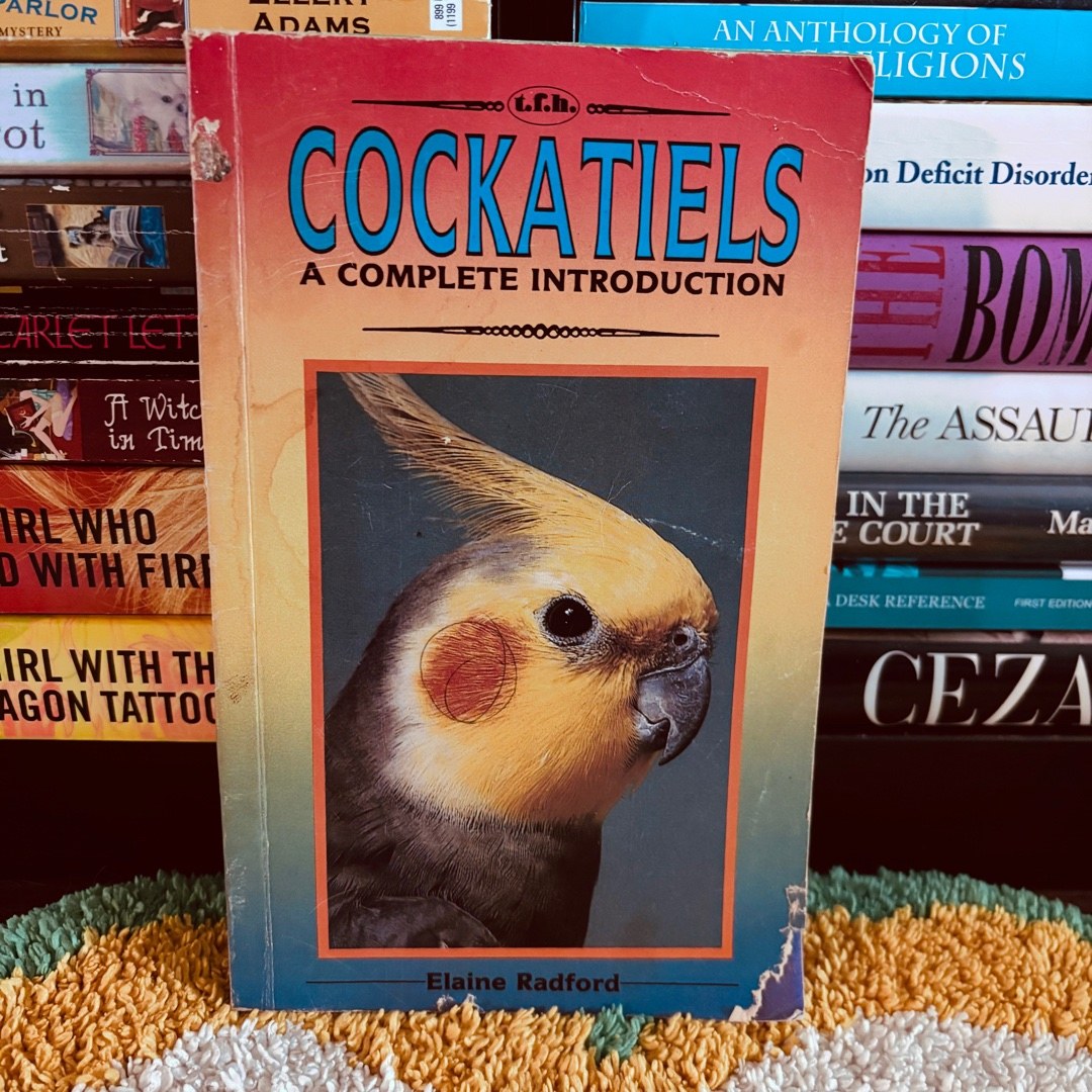 A Complete Introduction to Cockatiels