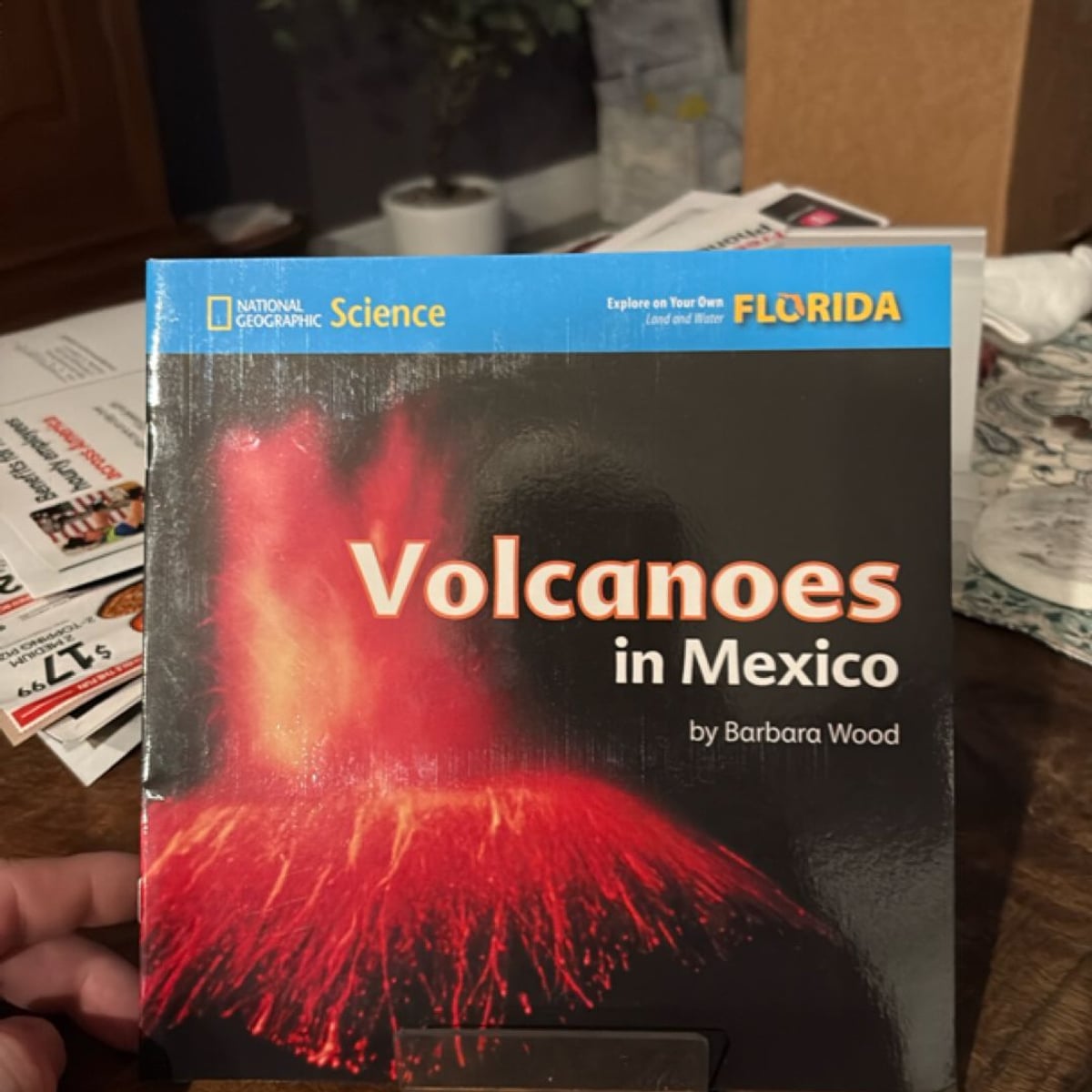 Explore on Your Own Volcanoes in Mexico - Florida by National ...
