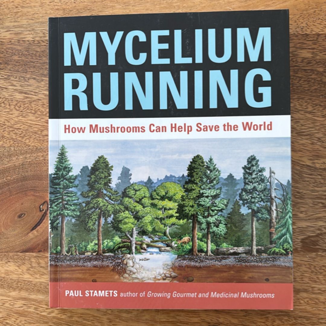 Mycelium Running