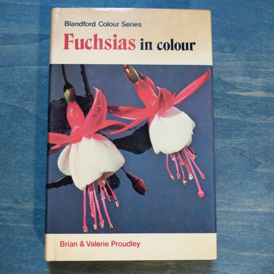 Fuchsias in Colour